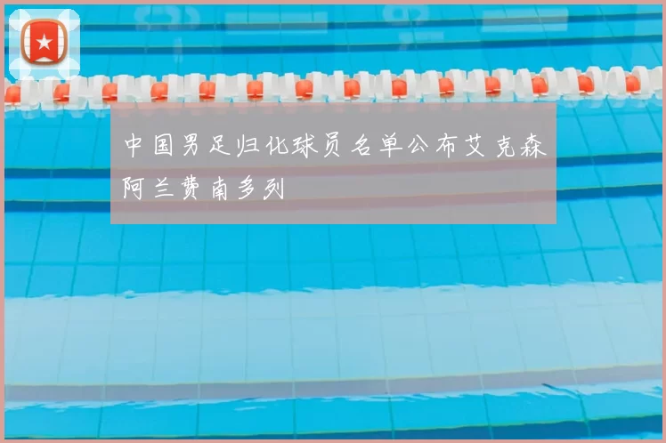 中国男足归化球员名单公布艾克森阿兰费南多列
