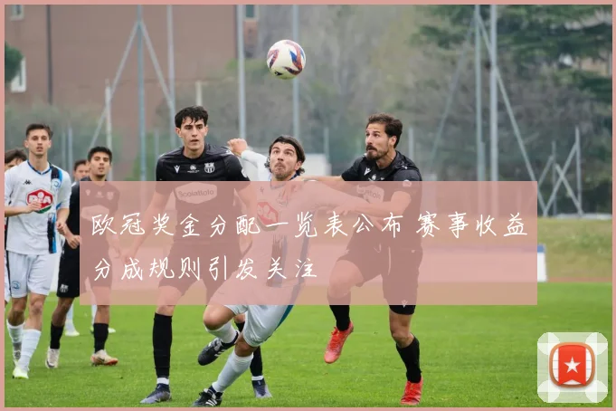 欧冠奖金分配一览表公布 赛事收益分成规则引发关注