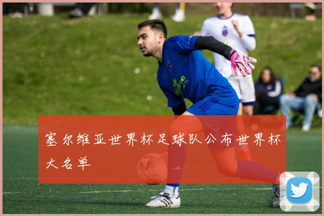 塞尔维亚世界杯足球队公布世界杯大名单