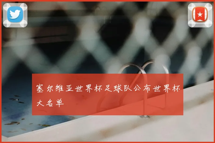 塞尔维亚世界杯足球队公布世界杯大名单