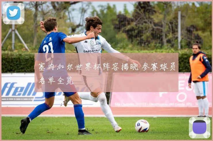 塞内加尔世界杯阵容揭晓 参赛球员名单全览