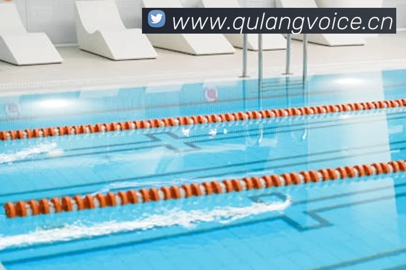 App Interface Preview