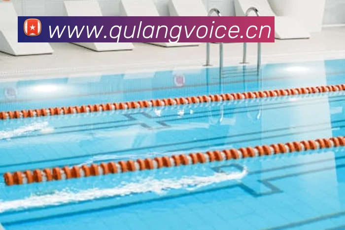 半岛手机入口站官网 - 半岛online(中国)APP 封面图